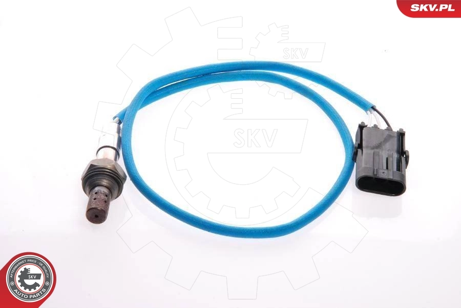 Oxygen Sensor